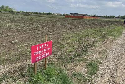 Teren în Balotești - 1