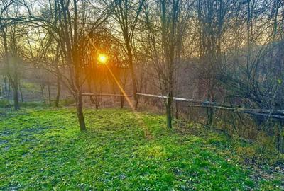 Teren intravilan 1.250 mp, drept, deschidere >20 ml, Dra - 1