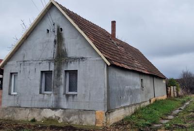 Casă individuală cu 5 camere cu Teren 3000 Mp în Alioș - 3