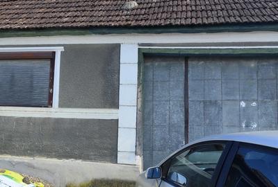 Casa de vacanta de vanzare in Cosdeni - 10