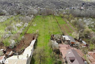 Teren de 4898 mp, în Cornu - 5