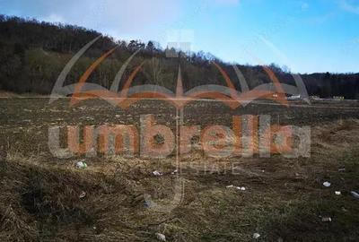 De vanzare in Gherla, Strada Hasdatii, 22.967mp - 3