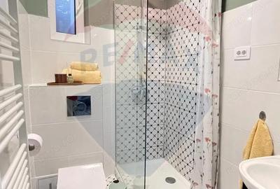 Apartament cu 2 camere de inchiriat str. Evreilor Deporta?i - 9