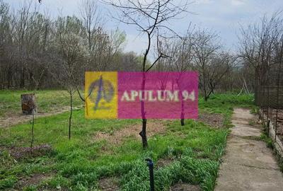 Casă cu 2 camere cu Teren 5000 Mp în Bucșani - 15