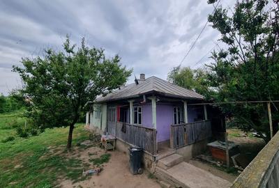 Casă cu 3 camere în Podu Turcului - 1