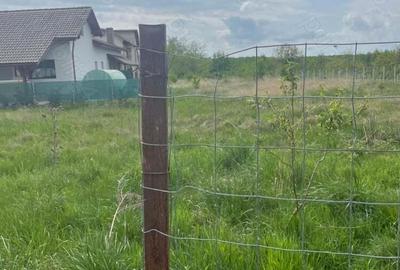 Tautii Magheraus,parcele de 540-550 mp,teren intravilan,drum de servitute ,doar 3500 euro ar - 7