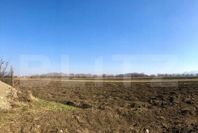 Teren de 10000 mp, în Central