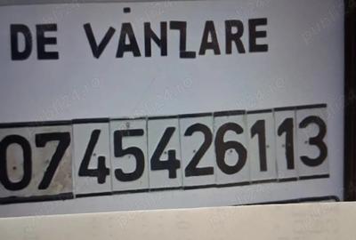 Casă cu Teren 3178 Mp în Lungani - 6