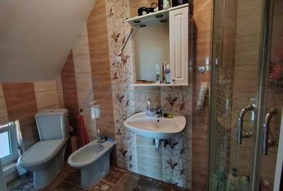 Casă cu 15 camere cu Teren 2800 Mp în Sântandrei - 20