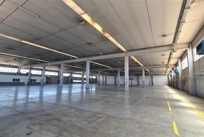 Spațiu industrial, de 2,525 mp, în Șagului - 5