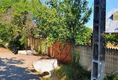 Casă cu 3 camere în Călina - 7