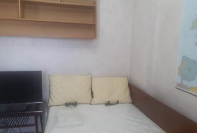 Decebal.Dristorului,vila cu 3 cam,subsol parter,et.1+mansarda,centrala,mobilata - 22