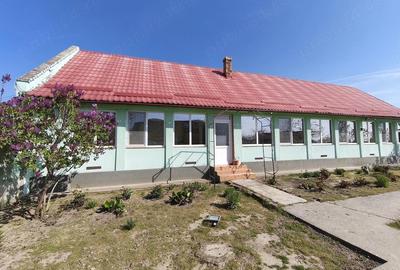 Casă cu 3 camere cu Teren 1500 Mp în Beregsău Mare - 10