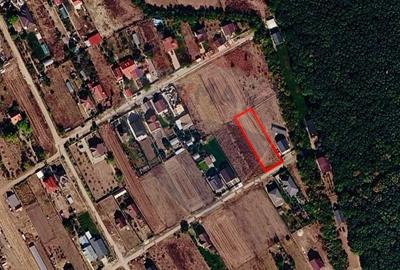 Teren Construcții intravilan de 1008 mp, în Moara Vlăsiei - 3
