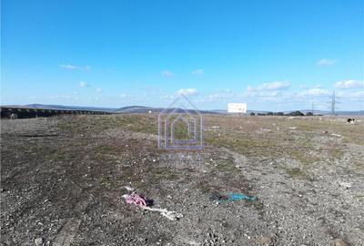 Teren de 11600 mp, în Șcheia - 3