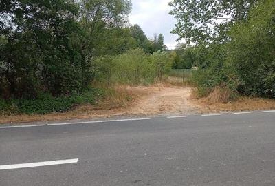 Teren de 3000 mp, în Ezeriș - 7