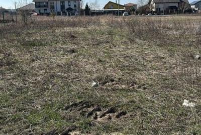 Teren de 720 mp, în Șag - 5