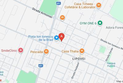 Închiriez apartament 3 camere, zona Lipovei - 10