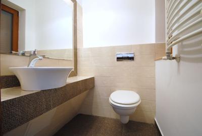 Casă individuală cu 4 camere cu Canalizare în Torontalului - 20