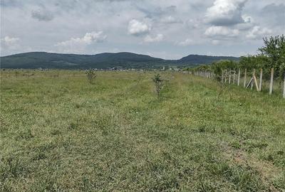 Teren de 50000 mp, în Jelna - 9