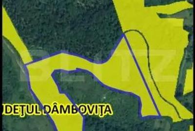 Teren extravilan 16 ha cu padure ?i vedere panoramica Razvad - 2