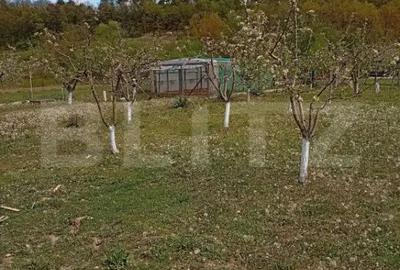 Spațiu comercial, de 6,800 mp, în Central - 18