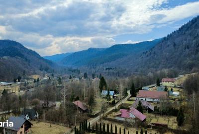 Casă cu 4 camere cu Teren 2985 Mp în Tarcău - 6