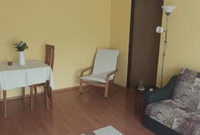 Apartament cu 2 camere semidecomandat în Rogerius - 8