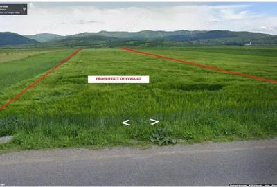 Teren de 2900 mp, în Tărlungeni - 3