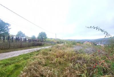 Teren de 1500 mp, în Bârnova - 7