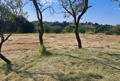 Spațiu comercial, în Feleacu - 6