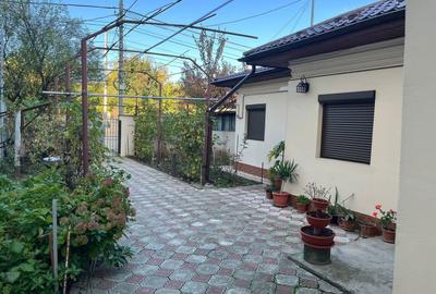 TEREN 331MP | DESCHIDERE 12M - 2