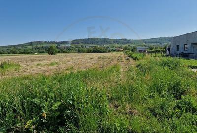 TEREN STEFANESTI! - 1