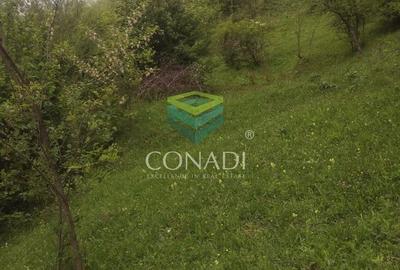 Teren de 800 mp, în Central - 9