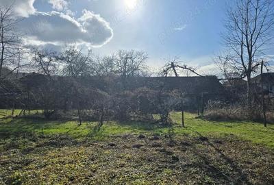 Casă cu 3 camere cu Teren 2500 Mp în Pietroasa - 9