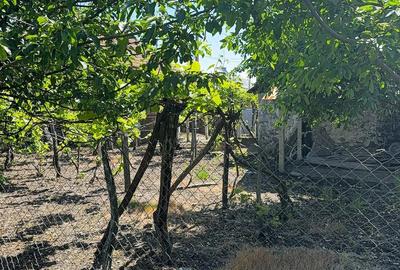 Teren de 3900 mp, în Sâmbotin - 2