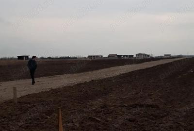 Teren în Berceni - 2