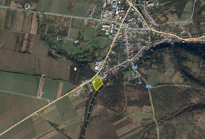 Teren Construcții intravilan de 16052 mp, în Sud - 4