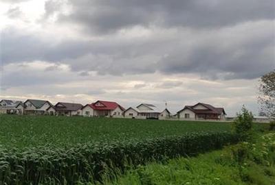 Teren Construcții intravilan de 10400 mp, în Ciolpani - 2