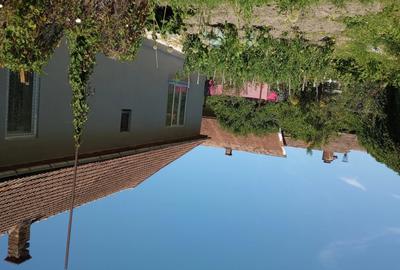 Vand casa dominanta - 6