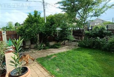 Apartament  de vanzare 4 camere si curte/ Domnesti - 15
