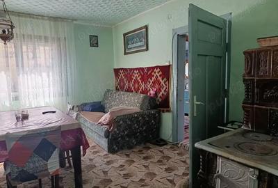 Casă cu 3 camere în Muntele Băișorii - 4