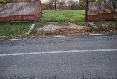 Teren de 600 mp, în Moșoaia - 1