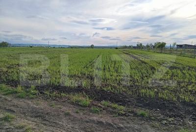 Teren intravilan cu 2 drumurie de acces. - 2