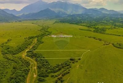 Teren de 10800 mp, în Râșnov - 12