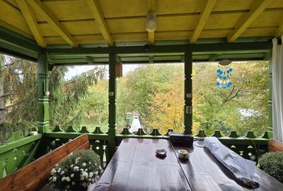 Casa spatioasa cu livada si vedere spre padure - Filipestii de Padure, Prahova Casa spatioasa cu livada si vedere spre padure - Filipestii de Padure, Prahova - 12