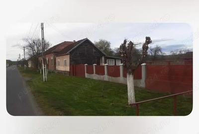 Casă cu 6 camere în Bata - 8