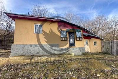 Casa de vanzare | Catunu, Drajna | 1360mp teren | Comision 0% - 9