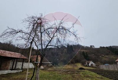 CASA 3 CAMERE SINCA NOUA / 5650 mp teren - 18