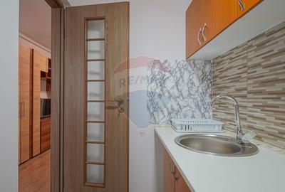 Apartament cu 1 camere de inchiriat in zona Bartolomeu - 12
